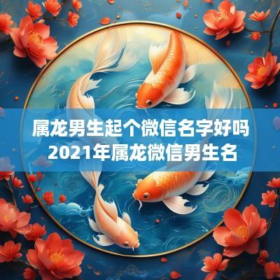 属龙男生起个微信名字好吗 2025年属龙微信男生名