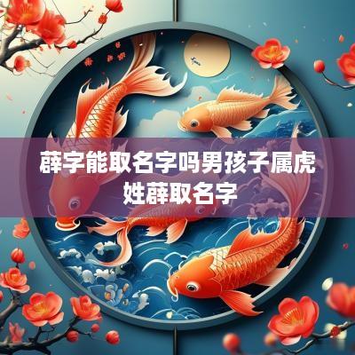 薜字能取名字吗男孩子属虎 姓薜取名字