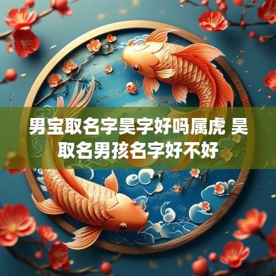 男宝取名字昊字好吗属虎 昊取名男孩名字好不好