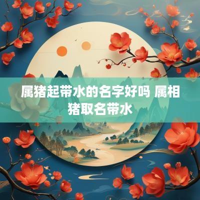 属猪起带水的名字好吗 属相猪取名带水