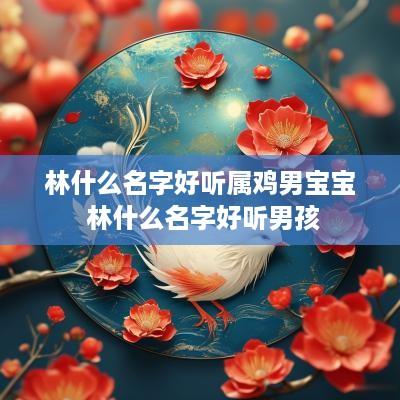 林什么名字好听属鸡男宝宝 林什么名字好听男孩