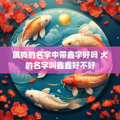 属狗的名字中带鑫字好吗 犬的名字叫鑫鑫好不好