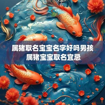 属猪取名宝宝名字好吗男孩 属猪宝宝取名宜忌