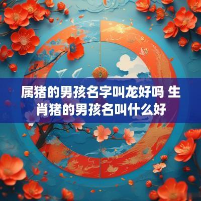 属猪的男孩名字叫龙好吗 生肖猪的男孩名叫什么好