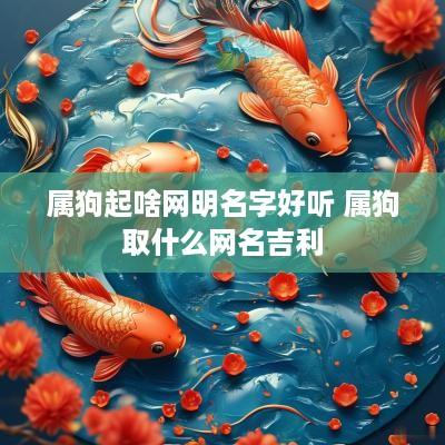 属狗起啥网明名字好听 属狗取什么网名吉利