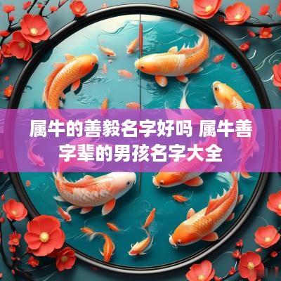 属牛的善毅名字好吗 属牛善字辈的男孩名字大全