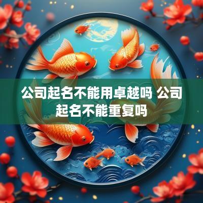 公司起名不能用卓越吗 公司起名不能重复吗
