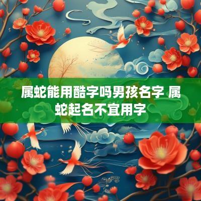 属蛇能用酷字吗男孩名字 属蛇起名不宜用字