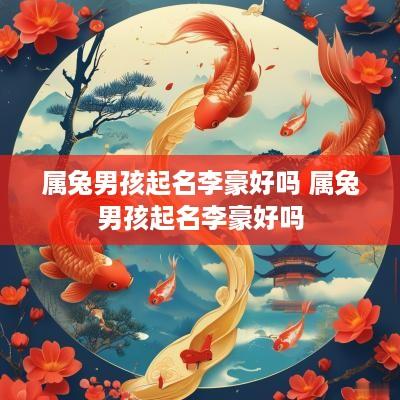属兔男孩起名李豪好吗 属兔男孩起名李豪好吗
