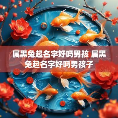 属黑兔起名字好吗男孩 属黑兔起名字好吗男孩子