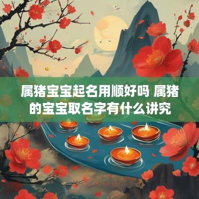 属猪宝宝起名用顺好吗 属猪的宝宝取名字有什么讲究