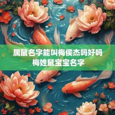属鼠名字能叫梅侯杰吗好吗 梅姓鼠宝宝名字
