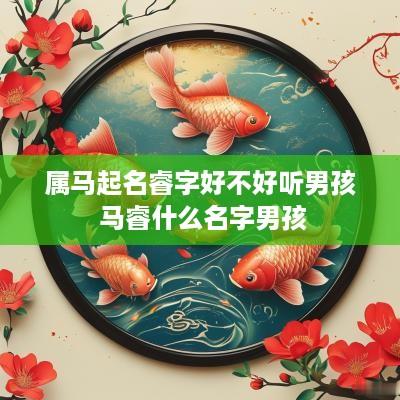 属马起名睿字好不好听男孩 马睿什么名字男孩