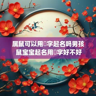 属鼠可以用玥字起名吗男孩 鼠宝宝起名用玥字好不好
