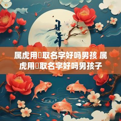 属虎用玥取名字好吗男孩 属虎用玥取名字好吗男孩子