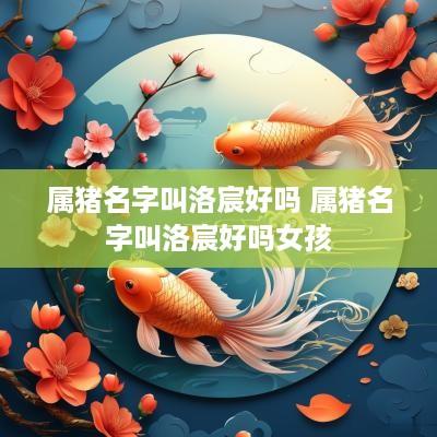 属猪名字叫洛宸好吗 属猪名字叫洛宸好吗女孩
