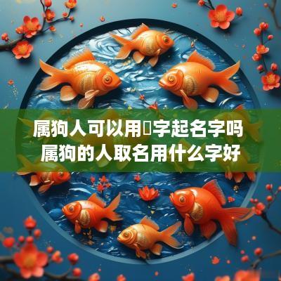 属狗人可以用玥字起名字吗 属狗的人取名用什么字好
