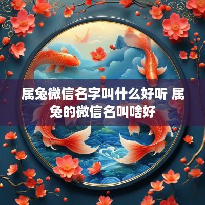 属兔微信名字叫什么好听 属兔的微信名叫啥好