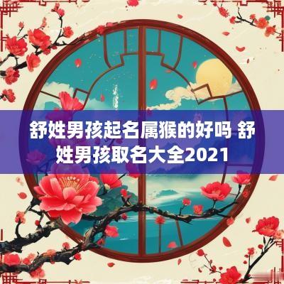 舒姓男孩起名属猴的好吗 舒姓男孩取名大全2025