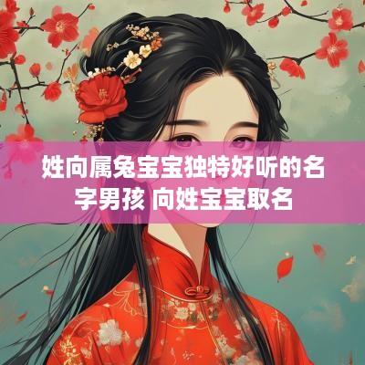 姓向属兔宝宝独特好听的名字男孩 向姓宝宝取名