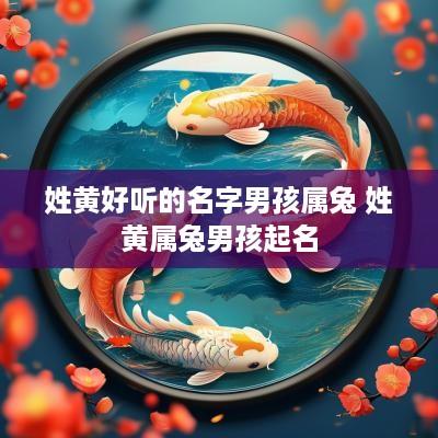 姓黄好听的名字男孩属兔 姓黄属兔男孩起名