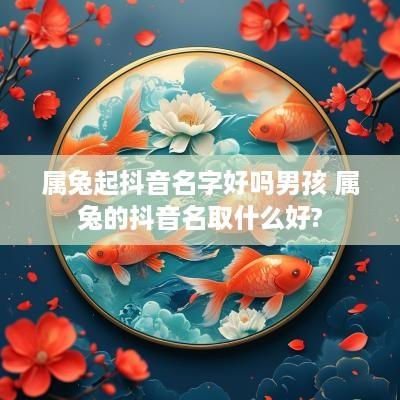 属兔起抖音名字好吗男孩 属兔的抖音名取什么好?