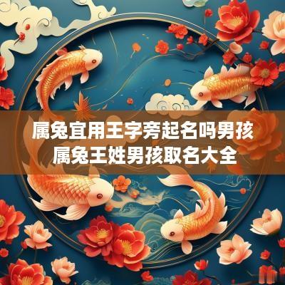 属兔宜用王字旁起名吗男孩 属兔王姓男孩取名大全
