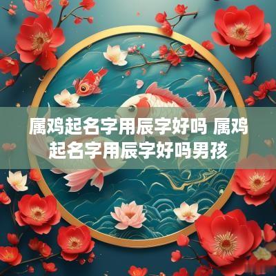 属鸡起名字用辰字好吗 属鸡起名字用辰字好吗男孩