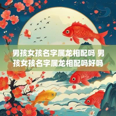 男孩女孩名字属龙相配吗 男孩女孩名字属龙相配吗好吗