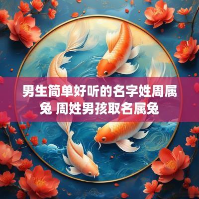 男生简单好听的名字姓周属兔 周姓男孩取名属兔