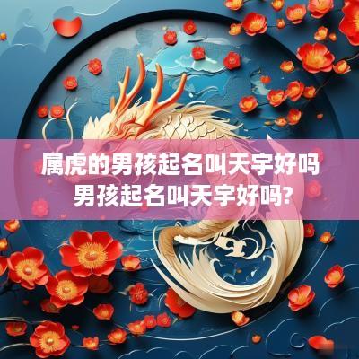 属虎的男孩起名叫天宇好吗 男孩起名叫天宇好吗?