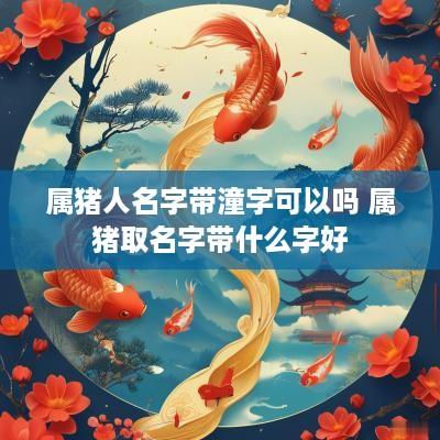 属猪人名字带潼字可以吗 属猪取名字带什么字好