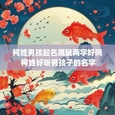 柯姓男孩起名属鼠两字好吗 柯姓好听男孩子的名字