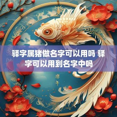 驿字属猪做名字可以用吗 驿字可以用到名字中吗