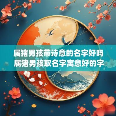 属猪男孩带诗意的名字好吗 属猪男孩取名字寓意好的字