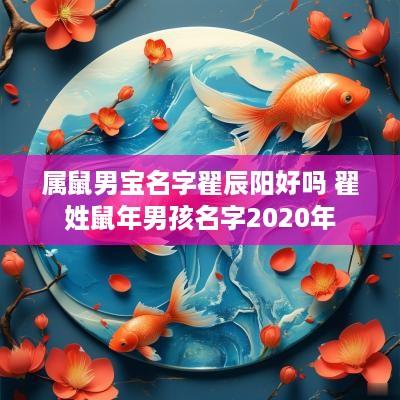 属鼠男宝名字翟辰阳好吗 翟姓蛇年男孩名字2025年