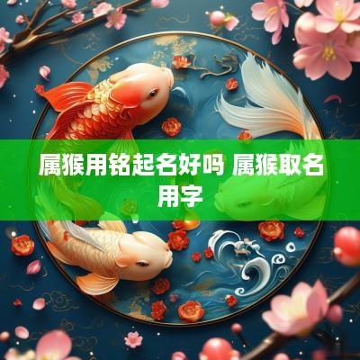 属猴用铭起名好吗 属猴取名用字