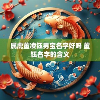 属虎董凌钰男宝名字好吗 董钰名字的含义