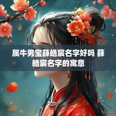 属牛男宝薛皓宸名字好吗 薛皓宸名字的寓意