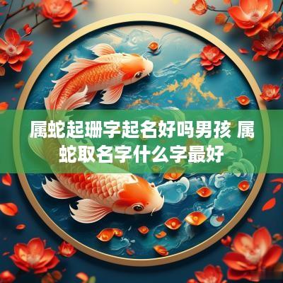 属蛇起珊字起名好吗男孩 属蛇取名字什么字最好