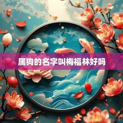 属狗的名字叫梅福林好吗