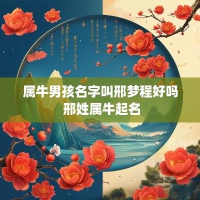 属牛男孩名字叫邢梦程好吗 邢姓属牛起名