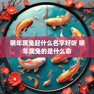 明年属兔起什么名字好听 明年属兔的是什么命