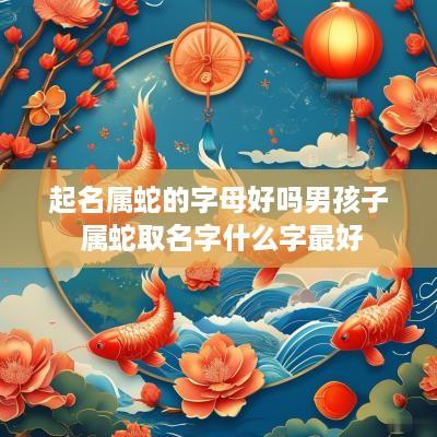 起名属蛇的字母好吗男孩子 属蛇取名字什么字最好