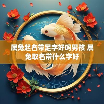 属兔起名带足字好吗男孩 属兔取名带什么字好