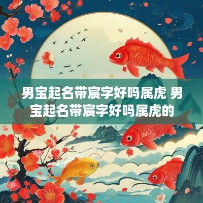 男宝起名带宸字好吗属虎 男宝起名带宸字好吗属虎的