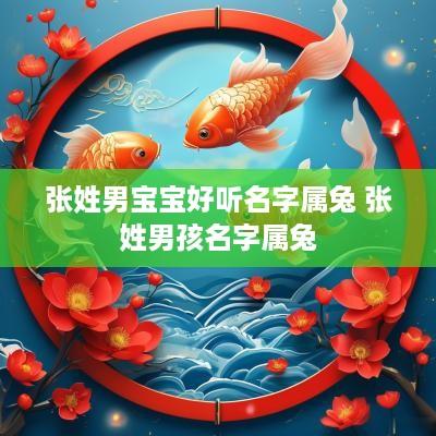 张姓男宝宝好听名字属兔 张姓男孩名字属兔