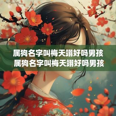 属狗名字叫梅天翊好吗男孩 属狗名字叫梅天翊好吗男孩取名