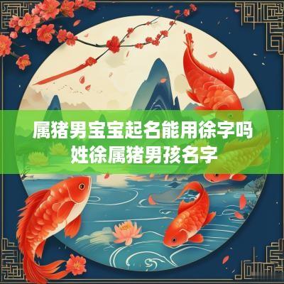 属猪男宝宝起名能用徐字吗 姓徐属猪男孩名字