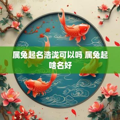 属兔起名浩泷可以吗 属兔起啥名好
